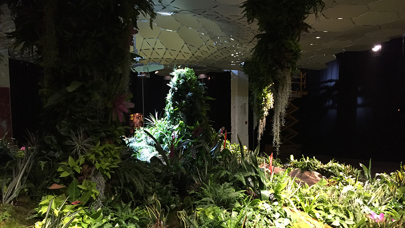 Illustration for article titled The Experimental Jungle Room Where NYC's Underground Park Is Taking RootÂ